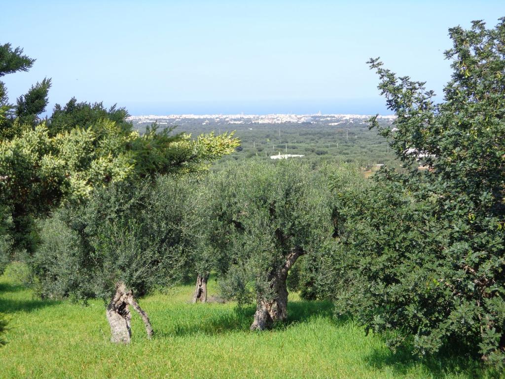 Alla Panoramica Monopoli Exterior photo